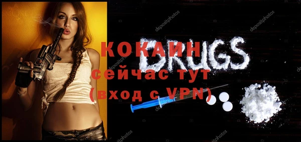 молекула духа Богородицк