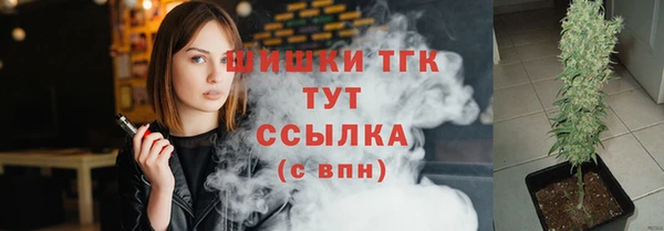 гашик Богородск