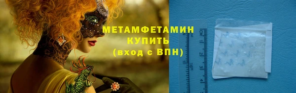 молекула духа Богородицк