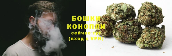 гашик Богородск