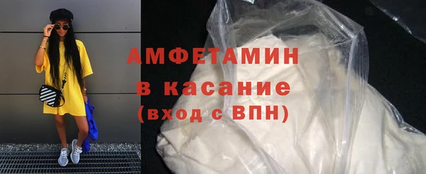 молекула духа Богородицк