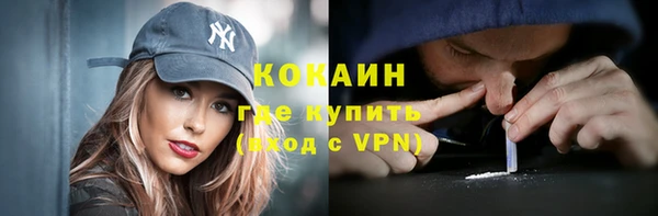 молекула духа Богородицк