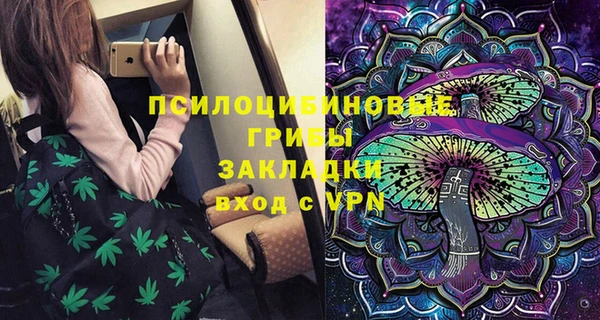 гашик Богородск