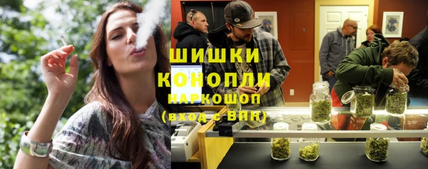 гашик Богородск