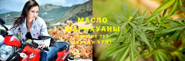 молекула духа Богородицк