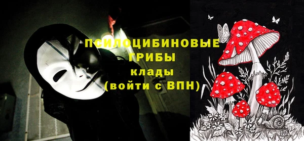 мдма Богданович
