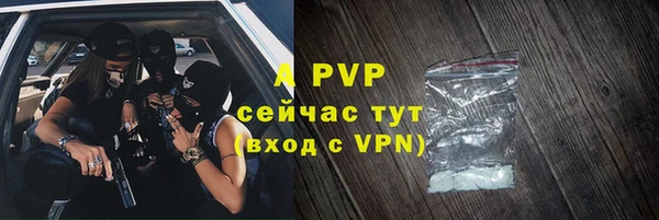 гашик Богородск