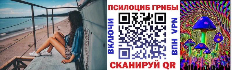 Купить  Порхов  Псилоцибиновые грибы MAGIC MUSHROOMS 